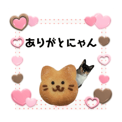 [LINEスタンプ] Memeちゃんスタンプ 2025夏