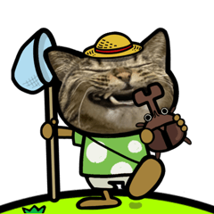 [LINEスタンプ] 動くキジトラ猫6(夏2)