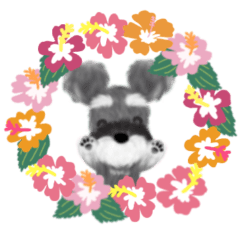 [LINEスタンプ] 夏のシュナウザー犬