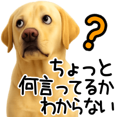 [LINEスタンプ] ラブラドールレトリバー★即返事！に使える