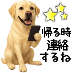 [LINEスタンプ] ラブラドールレトリバー★家族連絡・恋人
