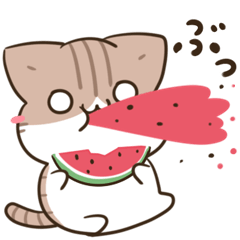 [LINEスタンプ] 毎日五月病なねこたち 夏スタンプ3