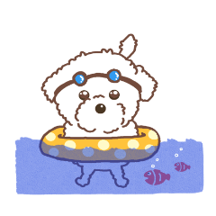 [LINEスタンプ] 【夏】タフィ・ザ・チワプー2 夏の白い犬