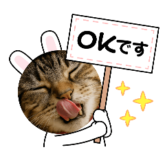 [LINEスタンプ] コスプレを楽しむペロにゃんこ①