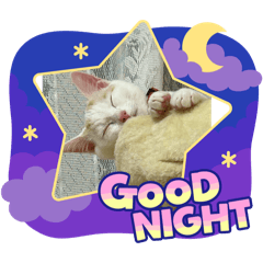 [LINEスタンプ] はろり①