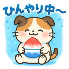 [LINEスタンプ] 三毛猫マロン夏スィーツスタンプ