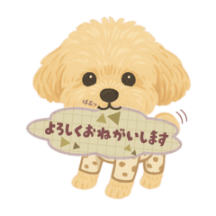 [LINEスタンプ] 毎日使える犬スタンプ ˎˊ˗