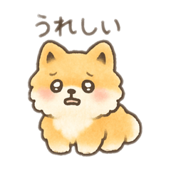 [LINEスタンプ] ポメラニアン？！日本語バージョン