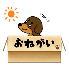[LINEスタンプ] まろダックスフントの日常スタンプ