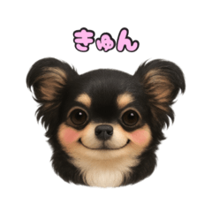 [LINEスタンプ] ブラックタンのチワワうめちゃん