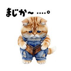 [LINEスタンプ] nekoパラダイス