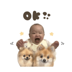 [LINEスタンプ] なのは.さくらこ.こうめ♡スタンダード