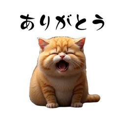 [LINEスタンプ] 猫ちゃんたち 猫 猫