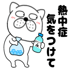 [LINEスタンプ] 【夏】ぶさいく犬52