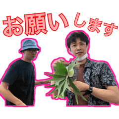 [LINEスタンプ] あくる日もホビーズ【第1弾】