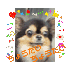 [LINEスタンプ] 殿様わん仔