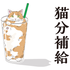 [LINEスタンプ] 夏の猫分補給スタンプ