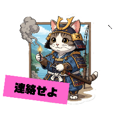 [LINEスタンプ] 白茶猫シーちゃんの連絡下さいシリーズ