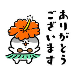 [LINEスタンプ] 夏をまとうネコたち