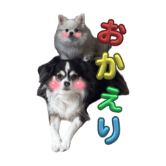 [LINEスタンプ] れおとてり6
