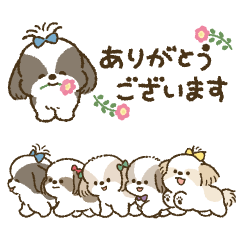 [LINEスタンプ] まるまるシーズーちゃんず（小さめ）