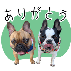 [LINEスタンプ] ぷんとボブ