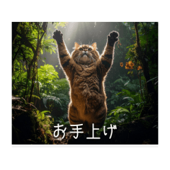 [LINEスタンプ] 使い所が分からない映画字幕風スタンプ