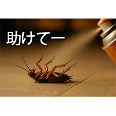 [LINEスタンプ] 愛されたいゴキブリ【ドッキリ・日常】