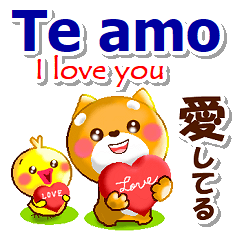 [LINEスタンプ] スペイン語,日本語,英語 連絡用 コタとピヨ