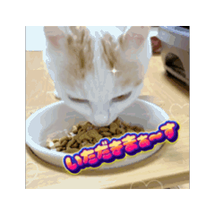 [LINEスタンプ] 動くHARORI③
