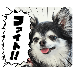 [LINEスタンプ] 祐靜くん
