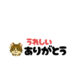[LINEスタンプ] じんちゃん-きじ猫