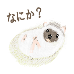 [LINEスタンプ] 手描き小動物(武蔵小杉事業所）