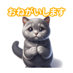 [LINEスタンプ] とにかくかわいい シャルトリュー