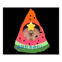 [LINEスタンプ] 私はシンメトリー