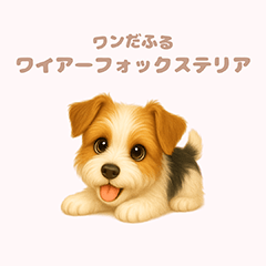 [LINEスタンプ] ワンだふる｜ワイアーフォックステリア