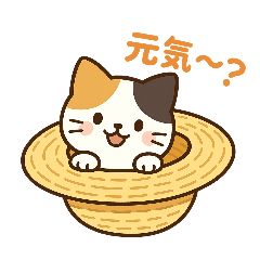 [LINEスタンプ] 収まりネコ、丸まりネコ 夏