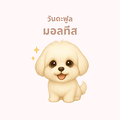 [LINEスタンプ] ワンだふる｜マルチーズ【タイ語】