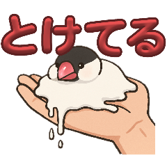 [LINEスタンプ] 溶けてる文鳥
