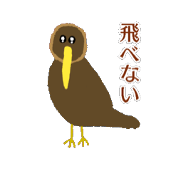[LINEスタンプ] 毎日使える飛べない鳥【キーウィ】