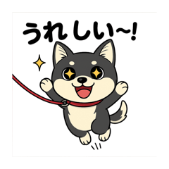 [LINEスタンプ] 黒柴ナナちゃん日常会話