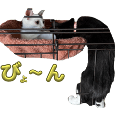 [LINEスタンプ] レアとウルの日常