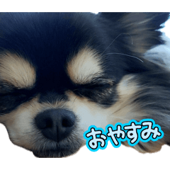[LINEスタンプ] ぽてとまめVol.5