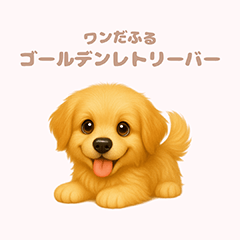 [LINEスタンプ] ワンだふる｜ゴールデンレトリーバー