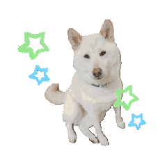 [LINEスタンプ] 動くそらまる君