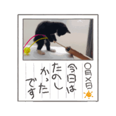 [LINEスタンプ] レアの動くスタンプ