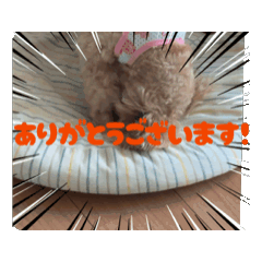 [LINEスタンプ] ラウレア2