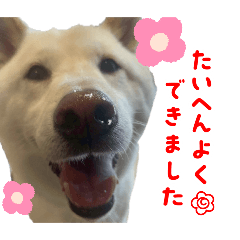 [LINEスタンプ] そらまる君❶
