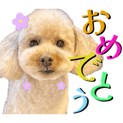 [LINEスタンプ] にか 〜あたしの記憶〜 season.1
