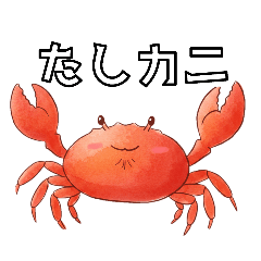 [LINEスタンプ] だじゃれ気持ちスタンプ